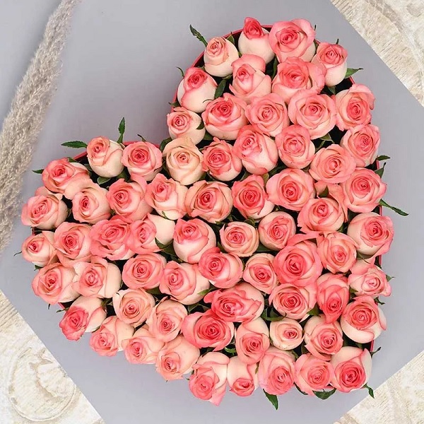 Order 75 Pink Roses For Valentine online | Get same day delivery PAN ...