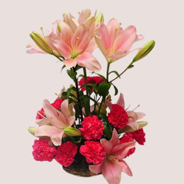 Order Lilies & Carnations online | Get same day delivery PAN India in 3 ...