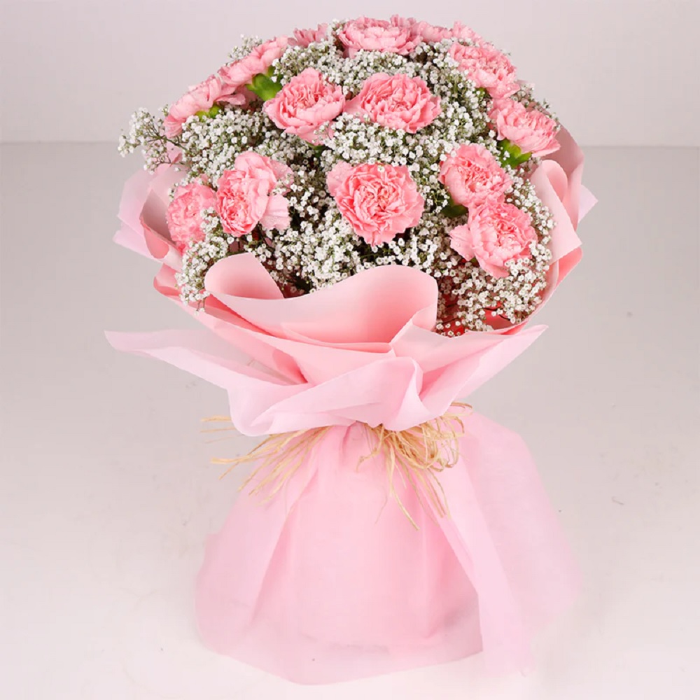 Order Bouquet Of Pretty Carnations online | Get same day delivery PAN ...