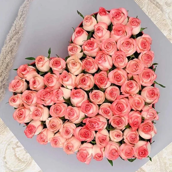 75 Pink Roses for Valentine