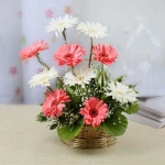 Mix Gerberas Basket