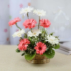 Mix Gerberas Basket