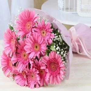 Pink Gerberas