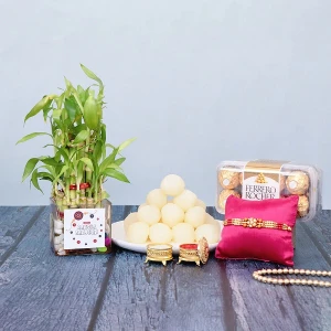 Rakhi With Rasgulla And Plants