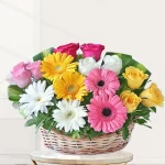 Roses Gerbera In A Basket