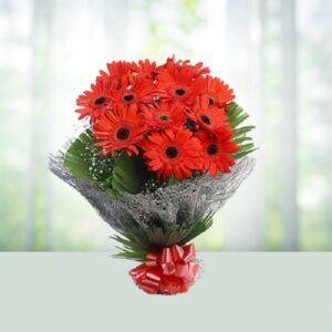 Red  Gerberas Bouquet