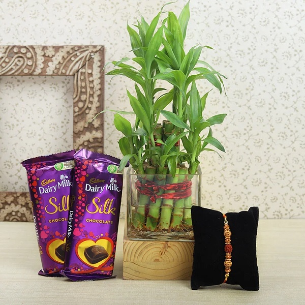 Rakhi with chocolates & plants