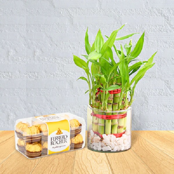 Bamboo with Ferrero Rocher